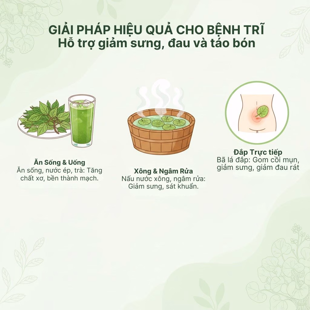 Rau Diếp Cá: "Kháng Sinh Tự Nhiên" Của Việt Nam—Sự Hội Tụ Giữa Y Học Cổ Truyền và Khoa học Hiện Đại 8